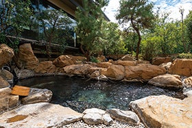 明石・三宮 発
№1822 甲府・湯村温泉常磐ホテルと身延山久遠寺しだれ桜3